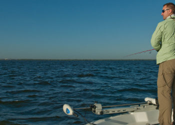 Tampa Bay Fall Fishing Guide