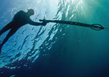 spearfishing