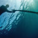 spearfishing
