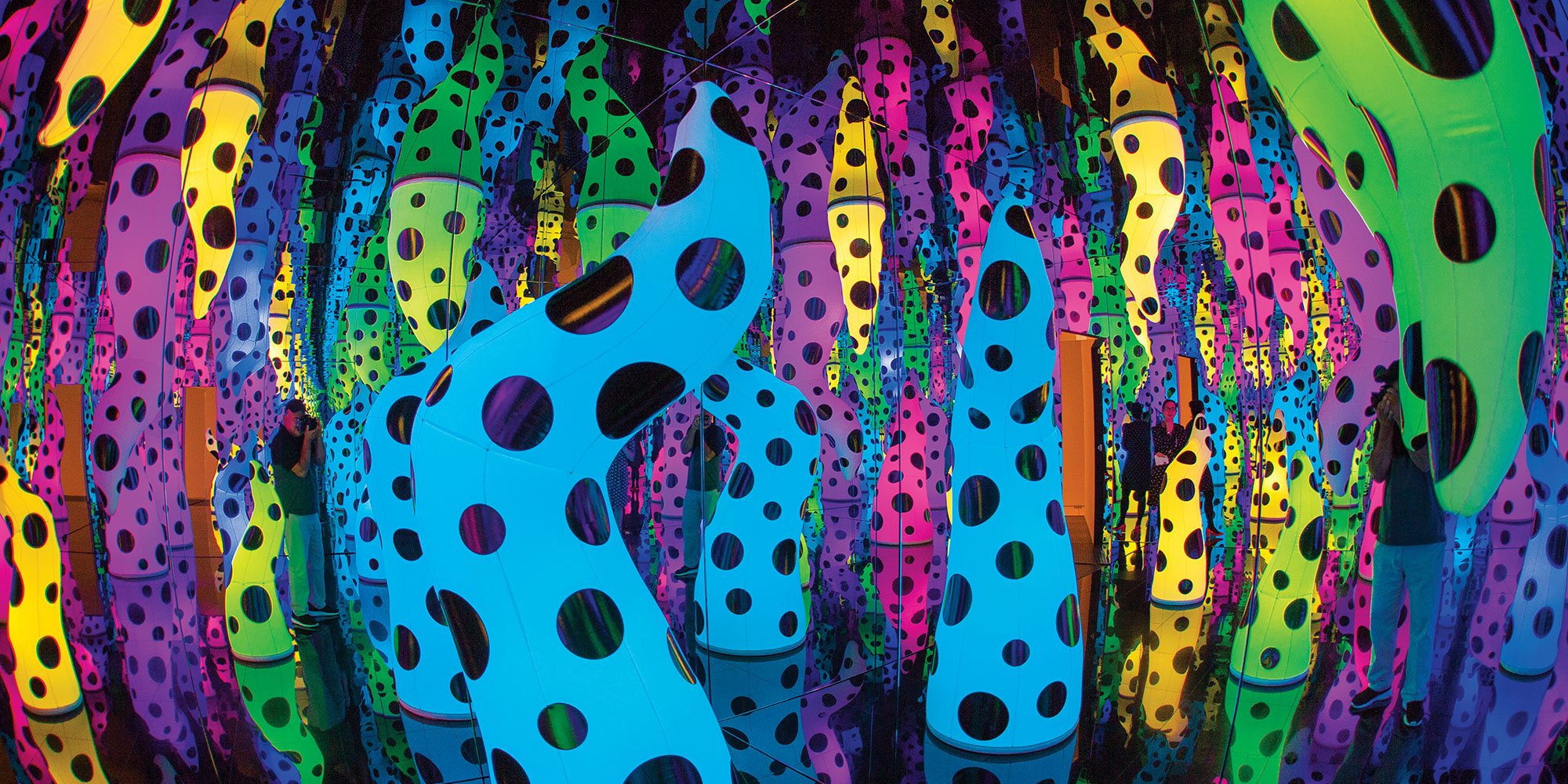 What's New Yayoi Kusama's "Love is Calling" at Tampa Museum of Art