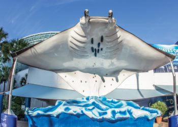 South Tampa Front Desk – July/August 2019