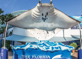 TAMPA Downtown Front Desk: July/August 2019