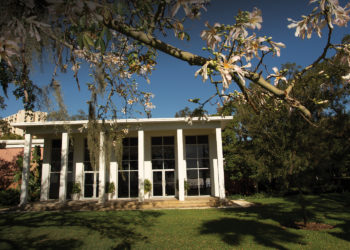 The History of the Tampa Garden Club