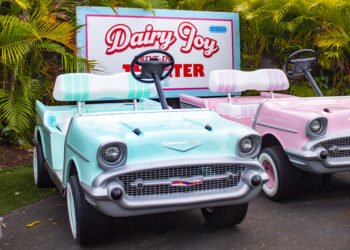 Dairy Joy