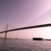 A Chronicle of Tampa Bay’s Bridges
