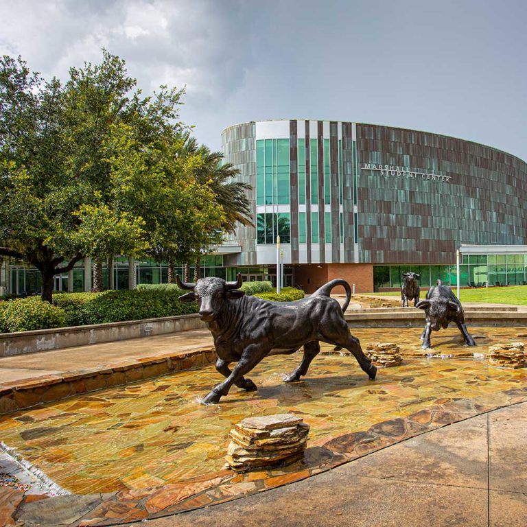 TAMPA Front Desk: August/September 2020 - Tampa Magazine