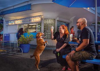 3 Unique Tampa Ice Cream Shops to Visit