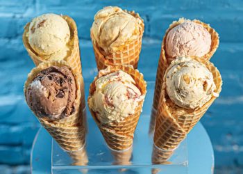 3 Unique Tampa Ice Cream Shops to Visit