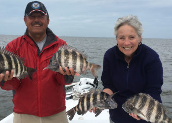 The Winter Tampa Bay Fishing Report with Captain Oliver O’Riordan