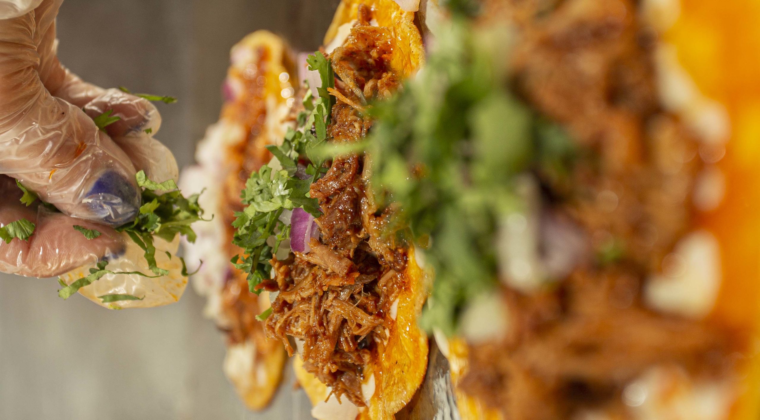 Quesabirria Tacos Have Taken Over Tampa - Tampa Magazine