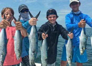 The Tampa Bay Spring Fishing Report: Part 2