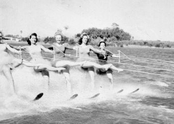 The History of Carrollwood  