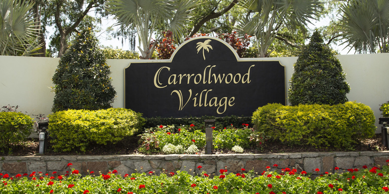 4 Defining Carrollwood Homes Tampa Magazine