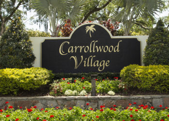 4 Defining Carrollwood Homes