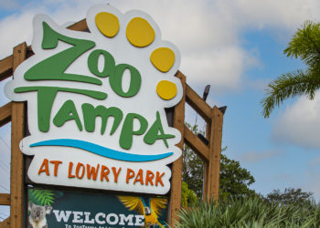 TAMPA Magazines 2021 Best of the City: Best Family Attraction