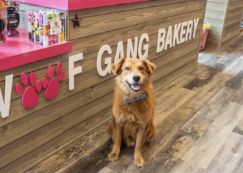 TAMPA Magazines 2021 Best of the City: Best Pet Grooming