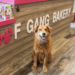 TAMPA Magazines 2021 Best of the City: Best Pet Grooming