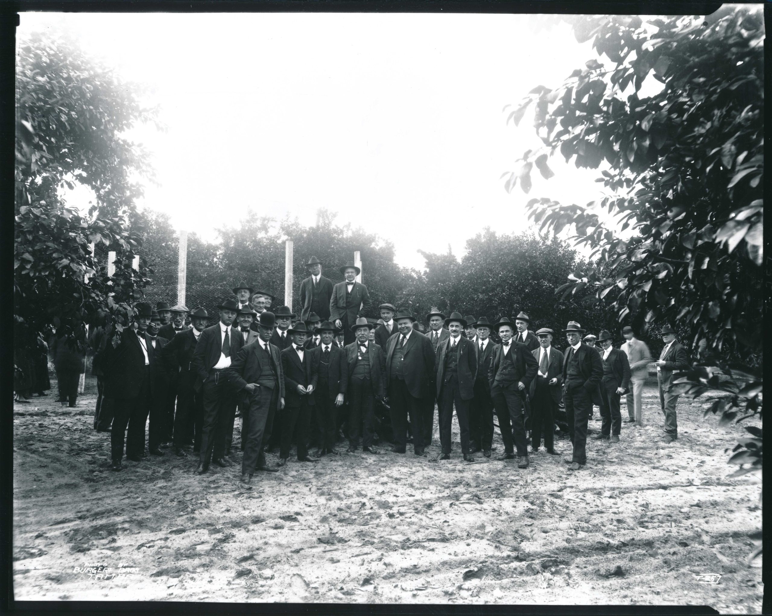 Investors stand in an orange grove in 1920 in the new Temple Terraces development. Myron Gillett is pictured at center with son <br /> D. Collins Gillet just to the right. (Courtesy of Tampa-Hillsborough Public Library System)