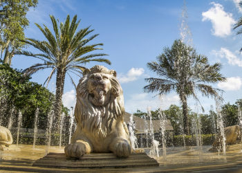 Best of South Tampa 2022