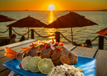 Salt Shack On The Bay