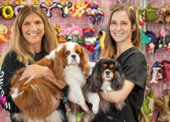 2022 Best of South Tampa’s Best Pet Grooming