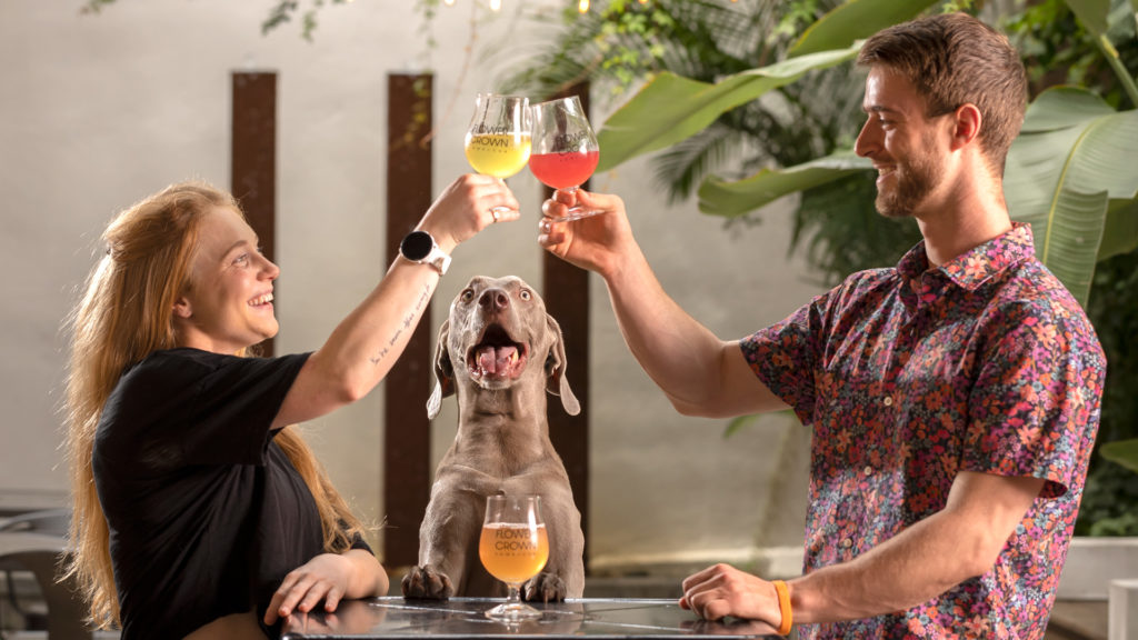 Made in Tampa Flower Crown Kombucha Tampa Magazine