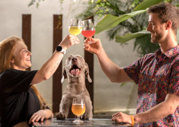 Made in Tampa: Flower Crown Kombucha