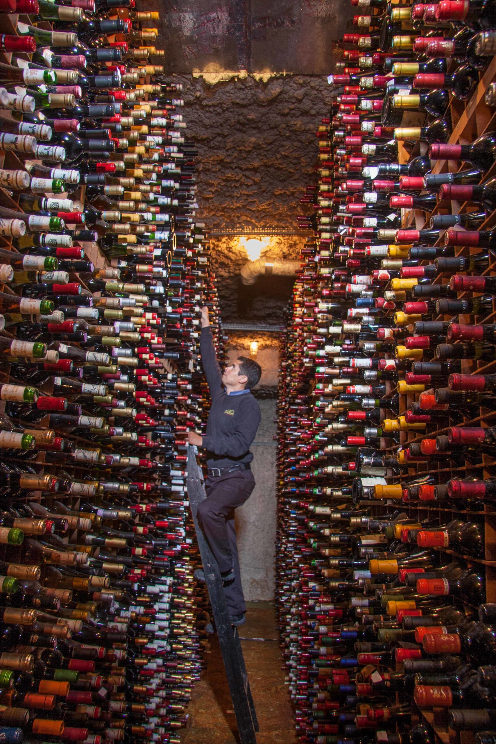 See Which Tampa Restaurants Won 2022 Wine Spectator Awards Tampa Magazine