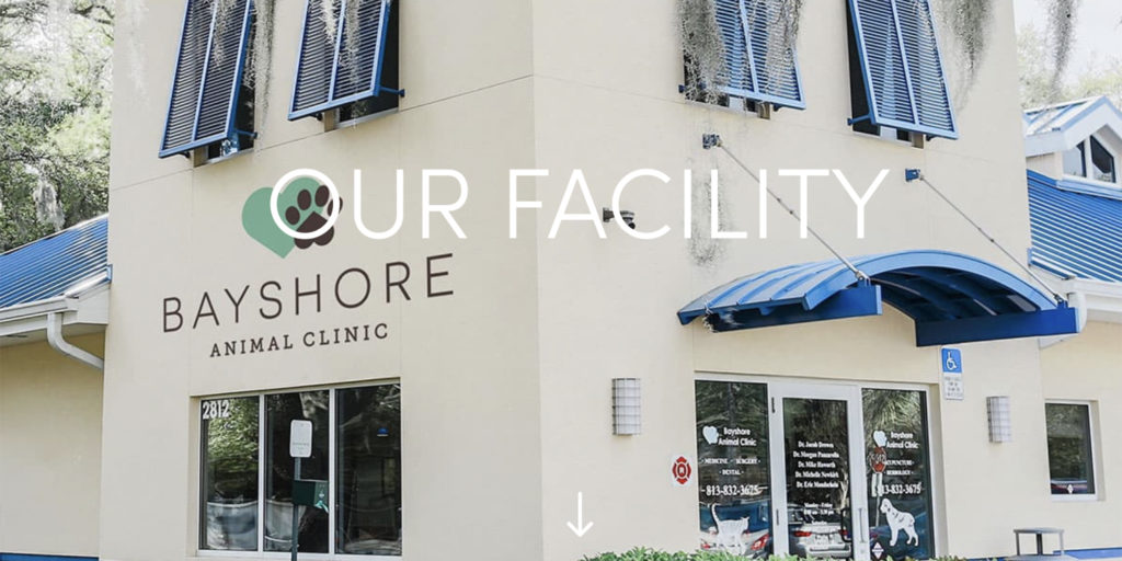 TAMPA Magazines 2022 Best of the City Best Veterinarian Tampa Magazine