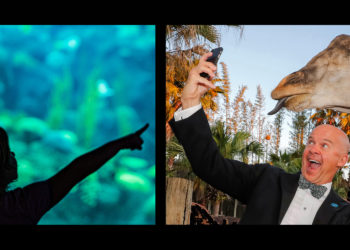 TAMPA Magazines 2022 Best of the City: Best Family Attraction
