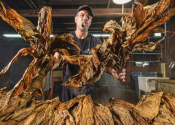 The American Cigar by J.C. Newman Cigar Company