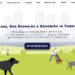 TAMPA Magazines 2022 Best of the City: Best Doggy Daycare