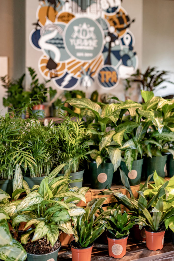 Front Desk November 2022 Tampa Magazine