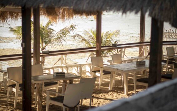 Beachfront restaurant-mateusz-dach- Beachfront restaurant-mateusz-dach-