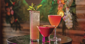 Tampa Bay’s Hottest Bars & Drinks 2023 - Tampa Magazine