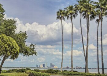 Iconic Ways to Explore Tampa Bay