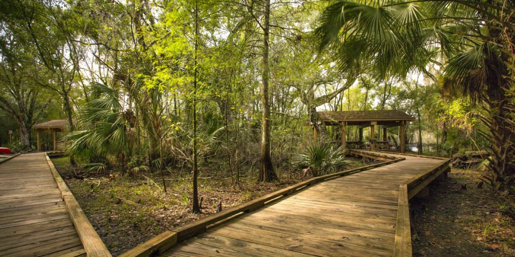 Tampa’s Top 5 Best Parks Tampa Magazine