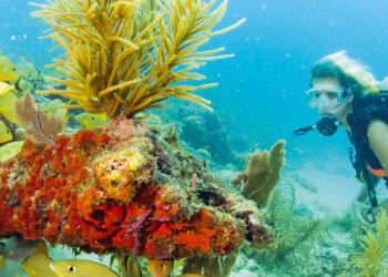 Close To Home Boating Charters