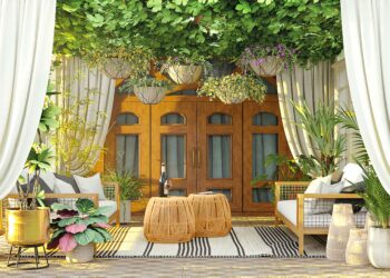 What’s New in Tampa Bay: June/July 2023