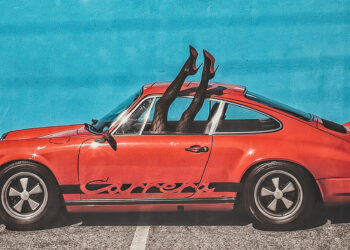 The Gallery: Photography on Alcantara Velvet by Rio Cam