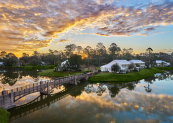 Unleash Your Inner Naturalist