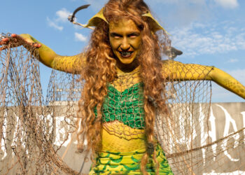 Fall Happenings in Tampa Bay