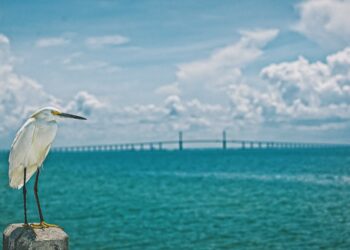 What’s New in Tampa Bay: November 2023