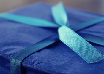 2023 Holiday Gift Guide