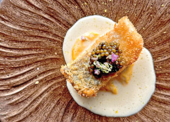 Check In With Tampa Bay: April