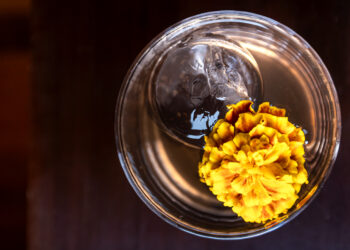 Crafting Cocktails 2024