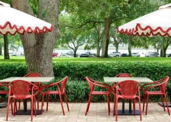 What’s New in Tampa Bay: October 2024