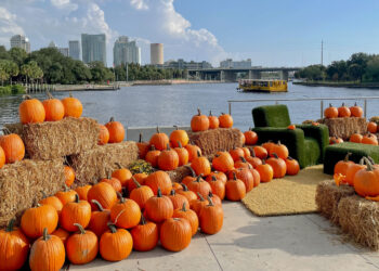 Falling for Fall: Autumn Events in Tampa Bay