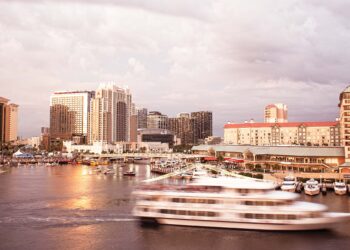 Love Letters to Tampa Bay