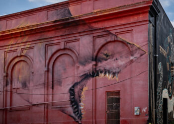 The Gallery: “Nature’s Mersey Paradise” by Shark Toof